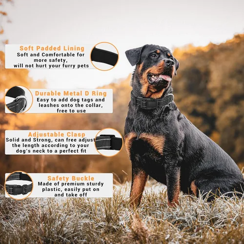 Vista 2 de Paquete de 2 collares reflectantes para perro con hebilla de bloqueo de seguridad, ajustable, suave, transpirable, cómodo, de nailon para perros