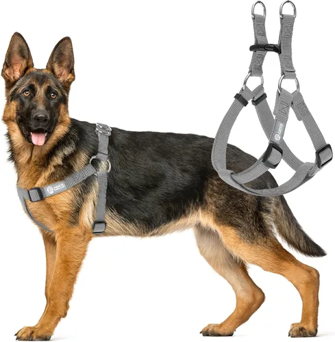 Vista 6 de AKC Step-in - Arnés para perro, chaleco ajustable de color sólido con anillos en D dobles, ajuste cómodo sin tirones para perros pequeños, medianos