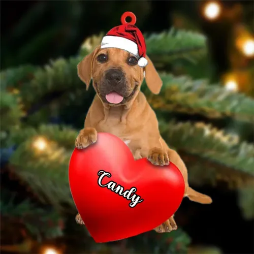 Vista 51 de Adornos de Navidad personalizados para perros, nombre personalizado, adorno de Malamute de Alaska, adornos acrílicos, regalos de Navidad, amantes