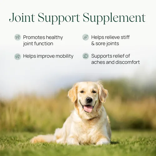 Vista 2 de pawTree Suplemento de apoyo articular y cadera para perros y gatos con glucosamina, condroitina, MSM, mejillones tuméricos y de labios verdes