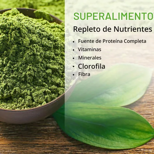 Vista 4 de SOLARAY Broken Cell Chlorella 410 mg Superalimento rico en nutrientes con proteínas de origen natural, vitaminas, minerales, clorofila Sin OMG