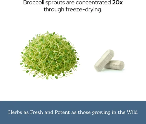 Vista 6 de Brotes de brócoli de vidrio ecléctico FDV, 50