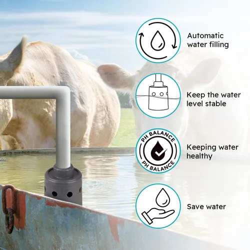Vista 3 de Válvula de flotador de 1 pulgada, llenado automático de agua, mantenimiento de un nivel de agua constante Válvula de cierre automático de agua