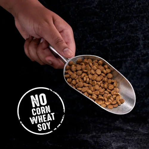 Vista 8 de Crave Comida con proteína para perros, libre de granos, adulto 34% protein, real animal protein, no by-product meal, no corn, wheat, soy,