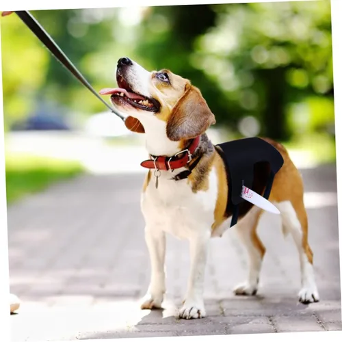 Vista 7 de HEALEEP 1Pc Halloween Dog Harness The Dog Short Plush ax Strap Black cat Harness pet Vampire Small Dog Turn into Decorate Pet Dog pet Outfit Puppy