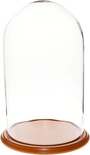 Vista 5 de Plymor 11.75" x 20" Pantalla de cristal Dome Cloche (base de nogal)