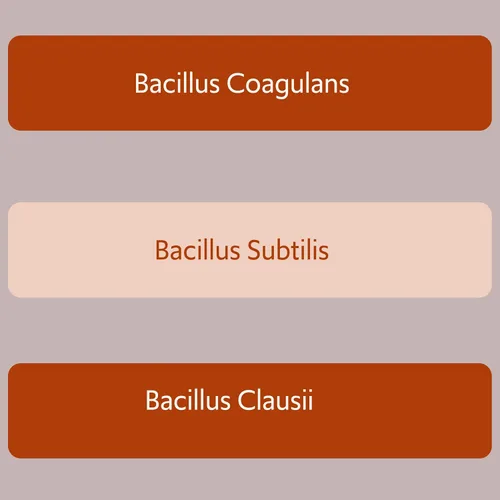 Vista 2 de Bacillus B3 Probiótico a base de esporas + enzimas para la salud intestinal y el apoyo del microbioma, probiótico diario estable con Bacillus