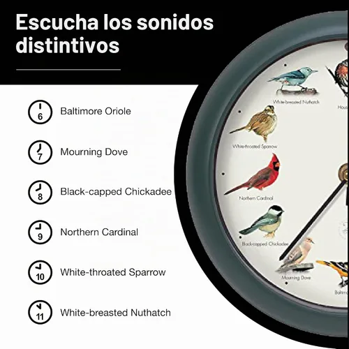 Vista 6 de Mark Feldstein, The Original Singing Bird Clock, edición del 25 aniversario, 8 pulgadas, verde