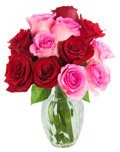 Vista 28 de KaBloom - Rosas arcoíris (media docena)- Flores frescas para cumpleaños, San Valentín y Día de la Madre