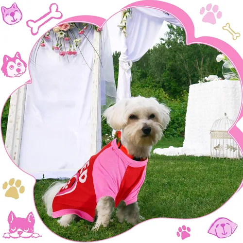 Vista 7 de Weewooday - 5 camisas para perros pequeños, camiseta para cachorros, chaleco de corazón, ropa para mascotas, talla M