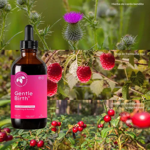 Vista 5 de Mountain Meadow Herbs Gentle Birth for Birth Prep / Preparación del parto, extracto de hierbas líquido de acción rápida para apoyo al parto - 4oz