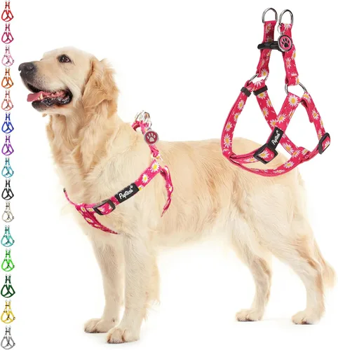 Vista 65 de Pupteck - Arnés para perros sin jalar, suave, ajustable, de nailon, talla básica, chaleco para cachorro, para caminar al aire libre con etiqueta