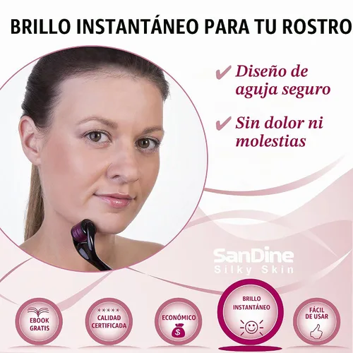 Vista 8 de Microneedle Derma Roller – 540 Micro pines sistema de cuidado de la piel – Rodillo de Titanio dermatológico – Ideal para mantener tu piel jóven