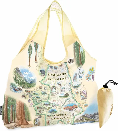 Vista 22 de Xplorer Maps Bolsa con asas – Bolsa de compras reutilizable para comestibles, plegable y lavable de nailon, resistente y compacta