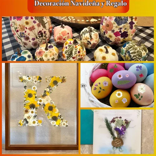 Vista 8 de 85 piezas de flores y hojas prensadas secas en otoño para manualidades de Naranja y amarillo 85 piezas