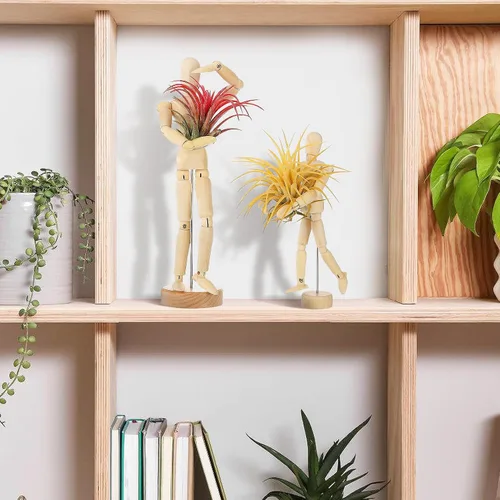 Vista 6 de ANPHSIN Soporte de Madera para Plantas de Aire de 2 Tamaños - Soporte Único Articulado de Maniquí para Plantas de Aire con Poses Ajustables