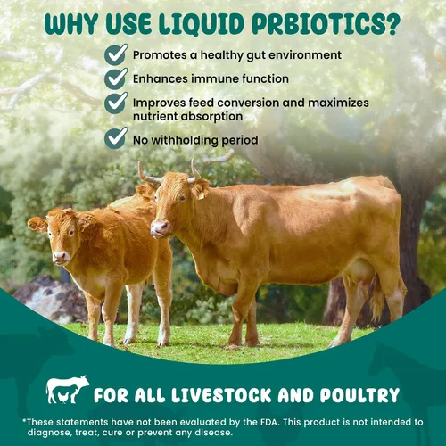 Vista 4 de SCD Bio Livestock - Aditivo líquido probiótico para piensos y agua, suplemento digestivo orgánico para vacas, cerdos, caballos, pollos, patos