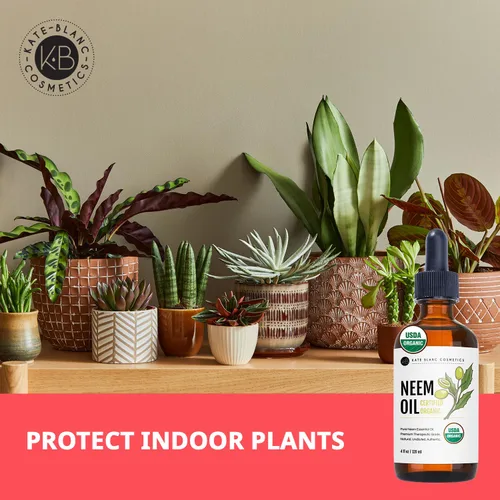 Vista 6 de Kate Blanc Cosmetics Aceite de neem para piel, cabello y cara. Seguro para perros, plantas, cuero cabelludo