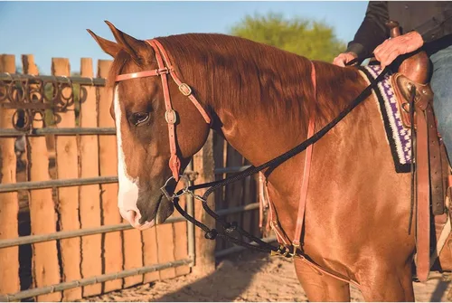 Vista 2 de PROFESSIONAL'S CHOICE Ad Draw Rope Martingale, negro, 0 (AD8062HL)
