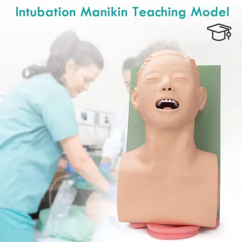 Vista 3 de Modelo de enseñanza de maniquí de intubación, modelo de simulador de entrenamiento de intubación traqueal para adultos de 110 V, entrenamiento