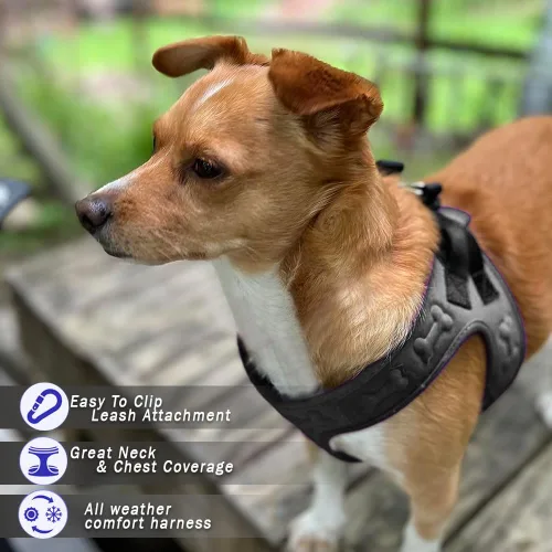 Vista 2 de Arnés de Ajuste Cómodo Step-in para Perros y Cachorros - Arnés de Chaleco Cómodo para Perros para Todo Clima: Ajustable, Suavemente Acolchado, Fácil
