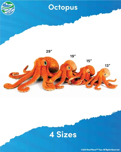 Vista 3 de Real Planet Peluche de Sea Life, regalo realista para niños de todas las edades, peluche de criaturas marinas del océano, regalos de cumpleaños
