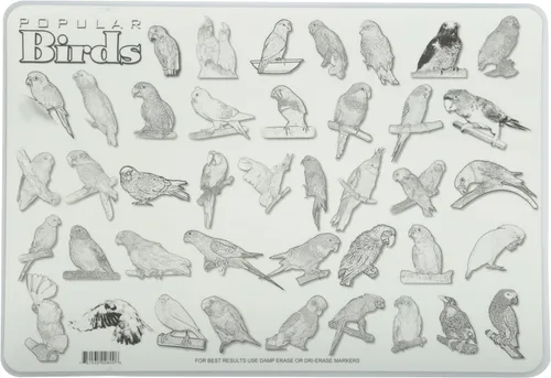 Vista 2 de Painless Learning Popular Birds - Mantel individual, tamaño grande