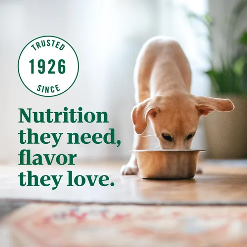 Vista 10 de Nutro Alimento seco ultra alto en proteínas para cachorros, pollo, cordero