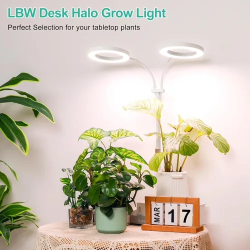 Vista 4 de LBW Luces de cultivo de plantas Halo, luz de crecimiento de escritorio de doble cabezal para plantas de interior, lámpara de crecimiento de espectro