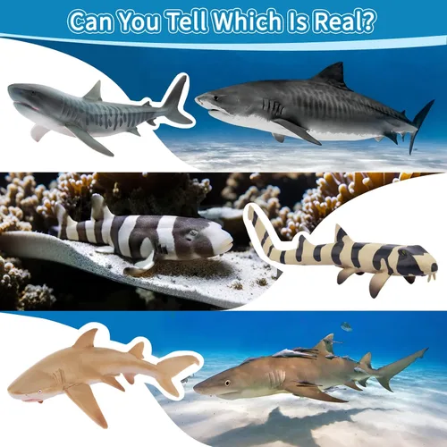 Vista 4 de Toymany 10 figuras realistas de juguete de baño de tiburón de 5 a 6 pulgadas de largo, juego de figuras de plástico de animales marinos del océano