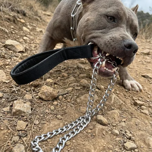 Vista 2 de Correa resistente para perro, correa de metal para perro con mango acolchado para perros grandes y medianos (4 pies x 0.118 in (0-80 libras))