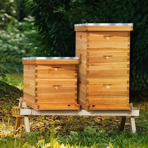 Vista 6 de Kit completo de colmena de abeja Langstroth de 10 marcos, recubierto de cera de abeja, incluye marcos de colmena y hojas de base enceradas