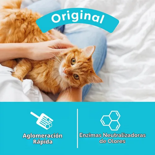 Vista 4 de swheat Scoop fast-clumping all-natural Aserrín para gatos