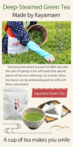 Vista 3 de Kayamaen - Bolsas de té verde japonés Ippuku 30 unidades de té verde tradicional japonés