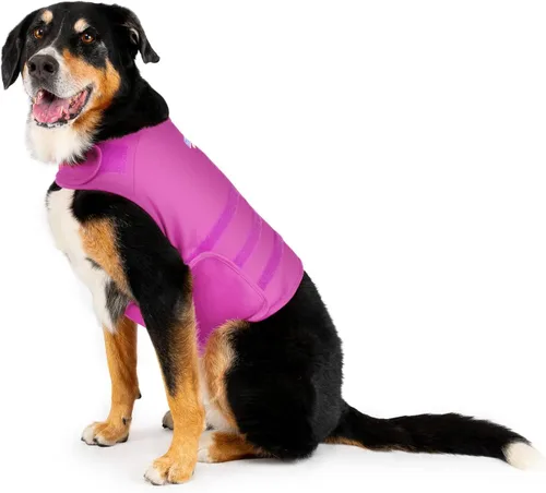Vista 6 de Camisa Mellow Shirt para calmar la ansiedad de perros, Cypress