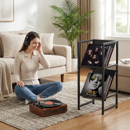 Vista 5 de Soporte de almacenamiento de discos de vinilo de metal negro de 2 niveles para colección Conceptual Design, Sturdy Black Metal Frame, 2-Tier