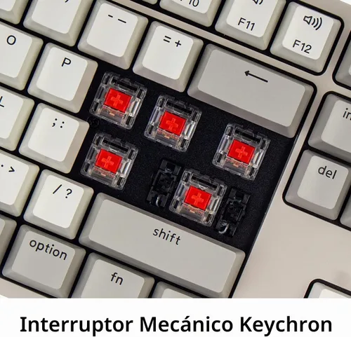 Vista 5 de Keychron C2 - Teclado mecánico con cable de tamaño completo compatible con Mac, interruptor rojo, 104 teclas ABS retro color teclado