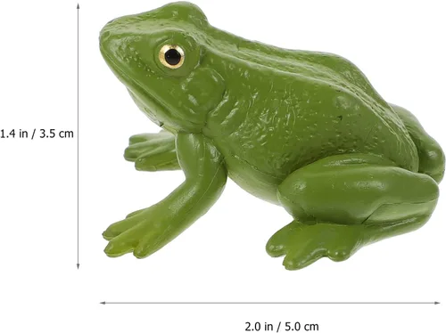 Vista 6 de NUOBESTY Figura de juguete realista de rana verde, modelo animal de plástico para educación científica de niños, figura de rana en miniatura