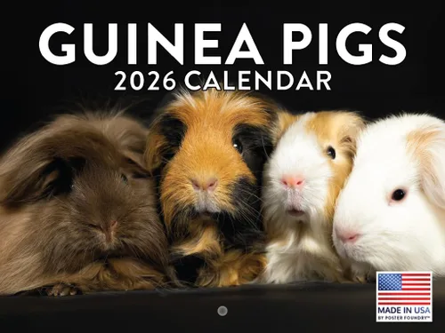 Vista 163 de Calendario mensual de pared de alpaca 2025 Fabricado en Estados Unidos