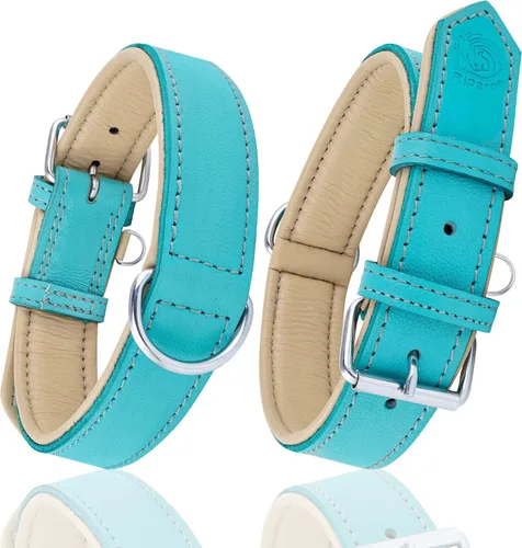Vista 7 de Riparo Collar de perro de cuero ajustable – Collar de perro ancho resistente para perros pequeños, medianos, grandes y extra grandes con soporte Agua