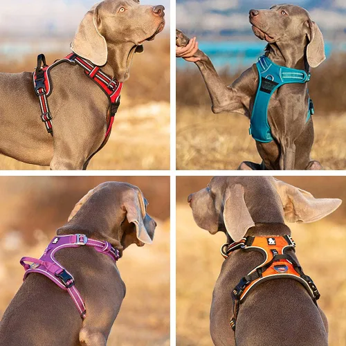 Vista 3 de Arnés sin tirones para perro, arnés reflectante con asa y clip frontal, arnés acolchado para perro para cachorros, perros medianos y grandes, 3
