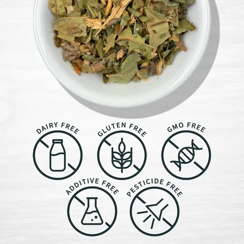 Vista 3 de Evergreen Herbs Nispero - Eriobotrya Japonica, níspero, níspero japonés, ciruela japonesa, ciruela china, bolsa resellable para garantizar