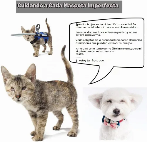 Vista 6 de Anillo ciego para perro, arnés ciego ajustable para perro, parachoques ciego para proteger gatos y perros con ceguera, visión borrosa, ojos enfermos