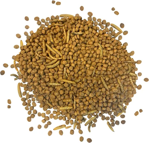 Vista 5 de Exotic Nutrition Paquete de inicio para erizos, incluye rueda de ejercicio, comida saludable, tratamiento natural, multivitaminas y escondite