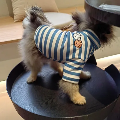 Vista 2 de Suéter de cuello alto para perro, lindo bordado de perrito, sudadera súper suave para perro, camisa para perro, suéter elástico a rayas para Raya