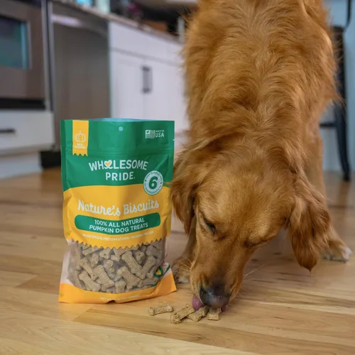 Vista 6 de Wholesome Pride Nature's Biscuits - Golosinas para perros, calabaza, 16 onzas (paquete de 8)