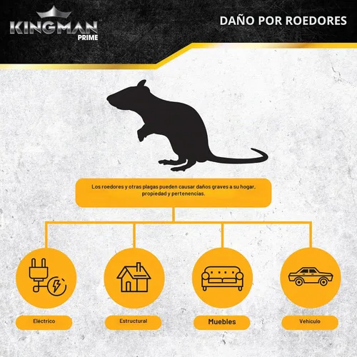 Vista 8 de Trampas de pegamento para ratas y ratones (tamaño grande)