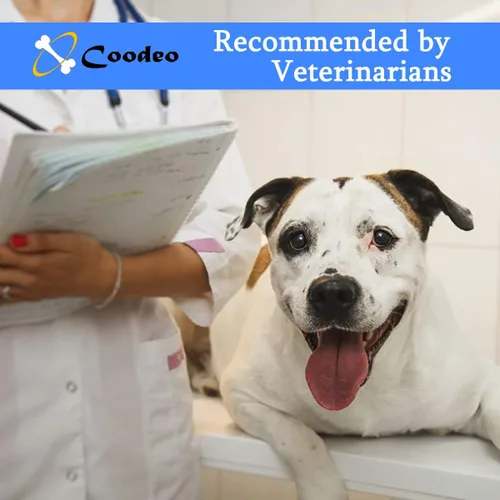 Vista 3 de Coodeo Arnés de elevación para perros, soporte y rehabilitación con correa ajustable acolchada y transpirable para perros ancianos, discapacitados