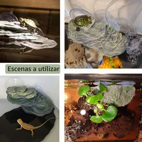 Vista 7 de kathson Plataforma para tomar el sol de tortuga, rampa de escalada de tortugas para bebé, esquisto, reptiles, muelle, terraza, piedra, pequeño