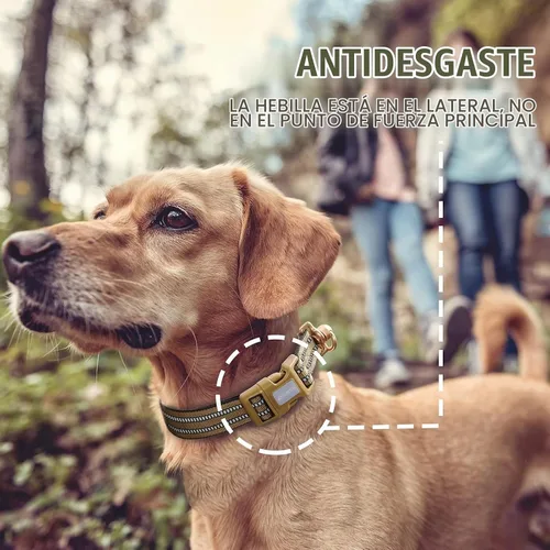 Vista 5 de Collar de perro Auroth para perros medianos y grandes, collar de perro reflectante, collares de perro de nylon suave ajustables con resistente army